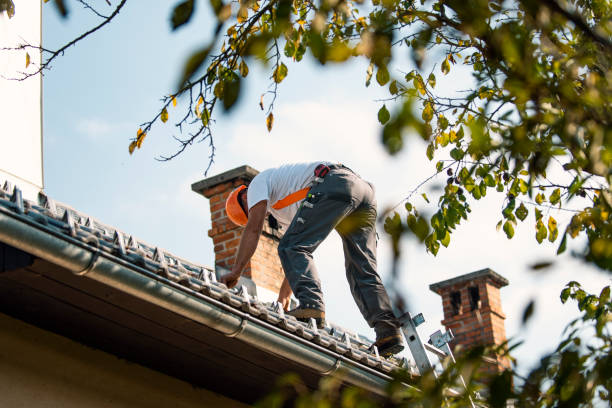 Best Flat Roof Repair Services  in Wyldwood, TX