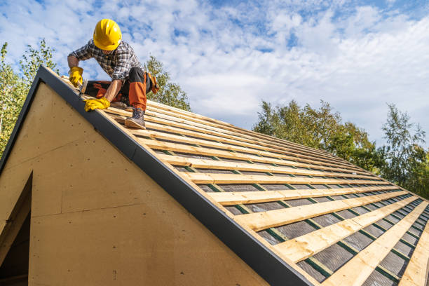 Roof Gutter Cleaning in Wyldwood, TX